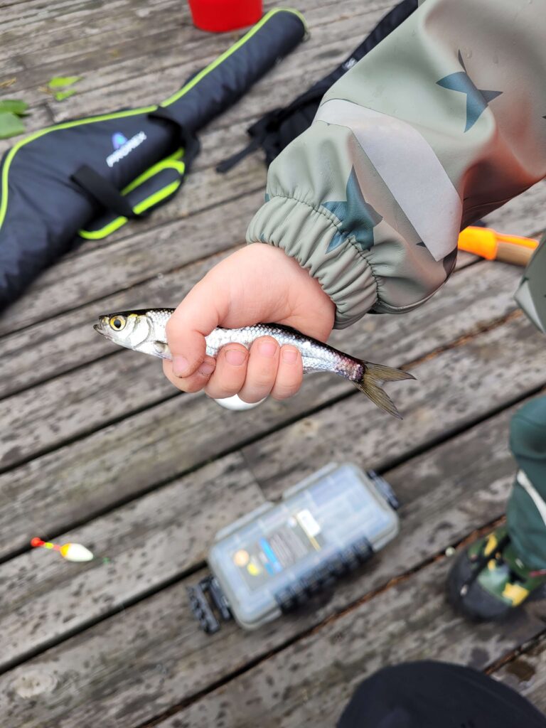 Fishing with kids