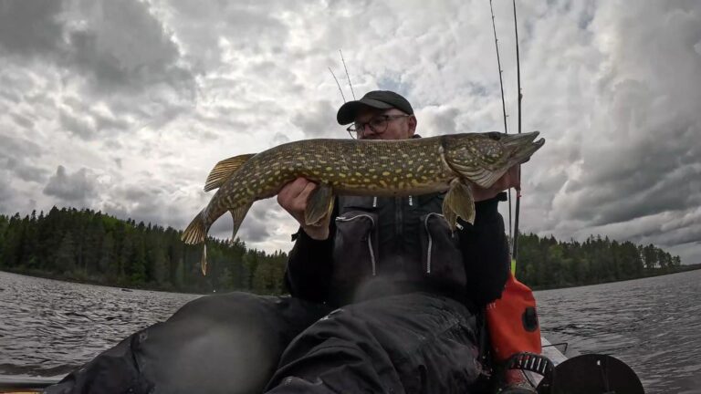 Fishing in Dalarna day 2