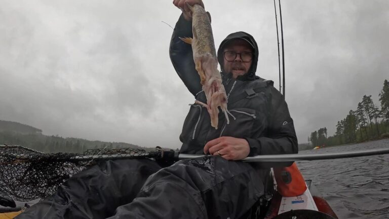 Fishing in Dalarna day 3